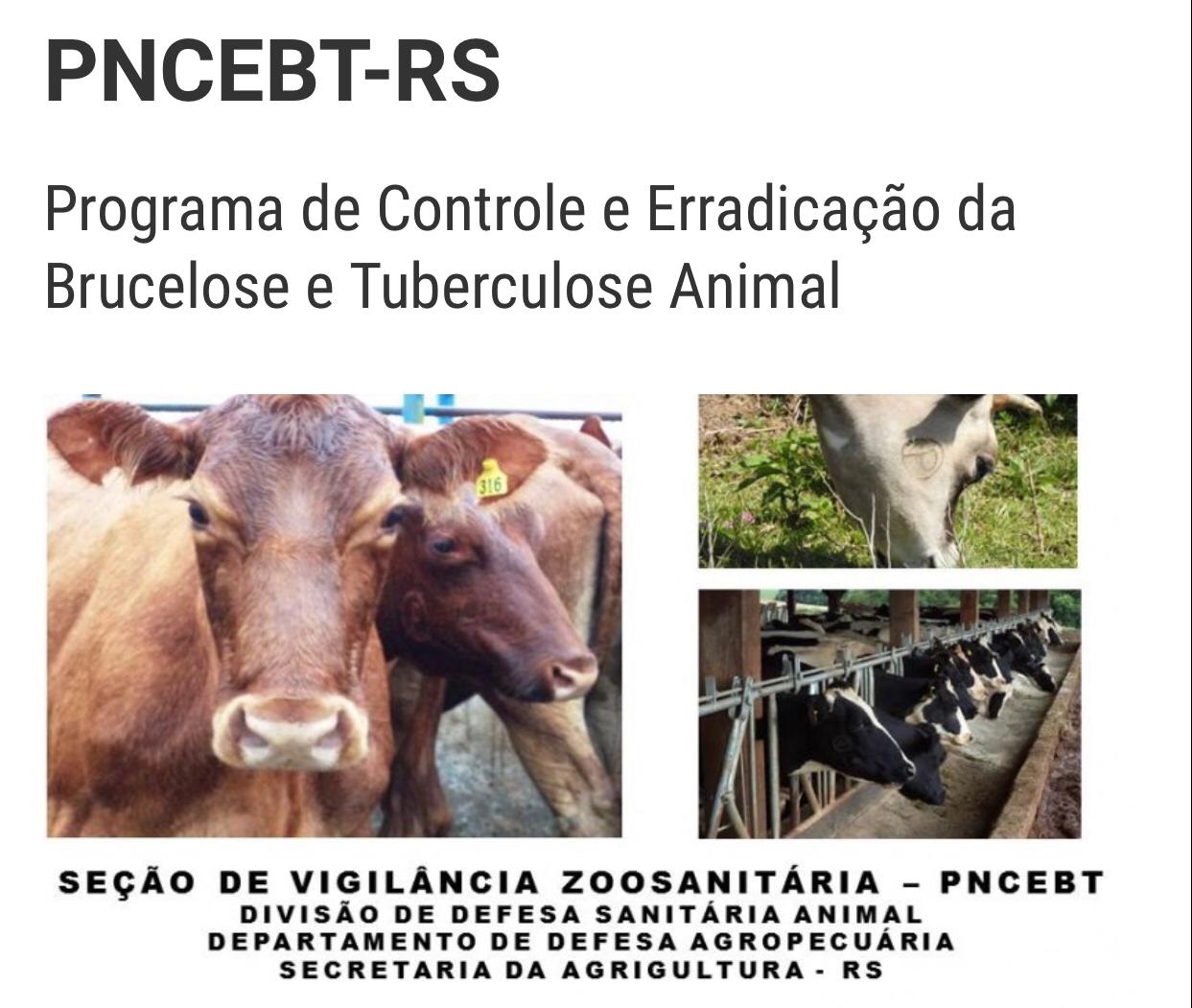 Estabelecido prazo para registro de intenção da habilitação do PNCEBT 