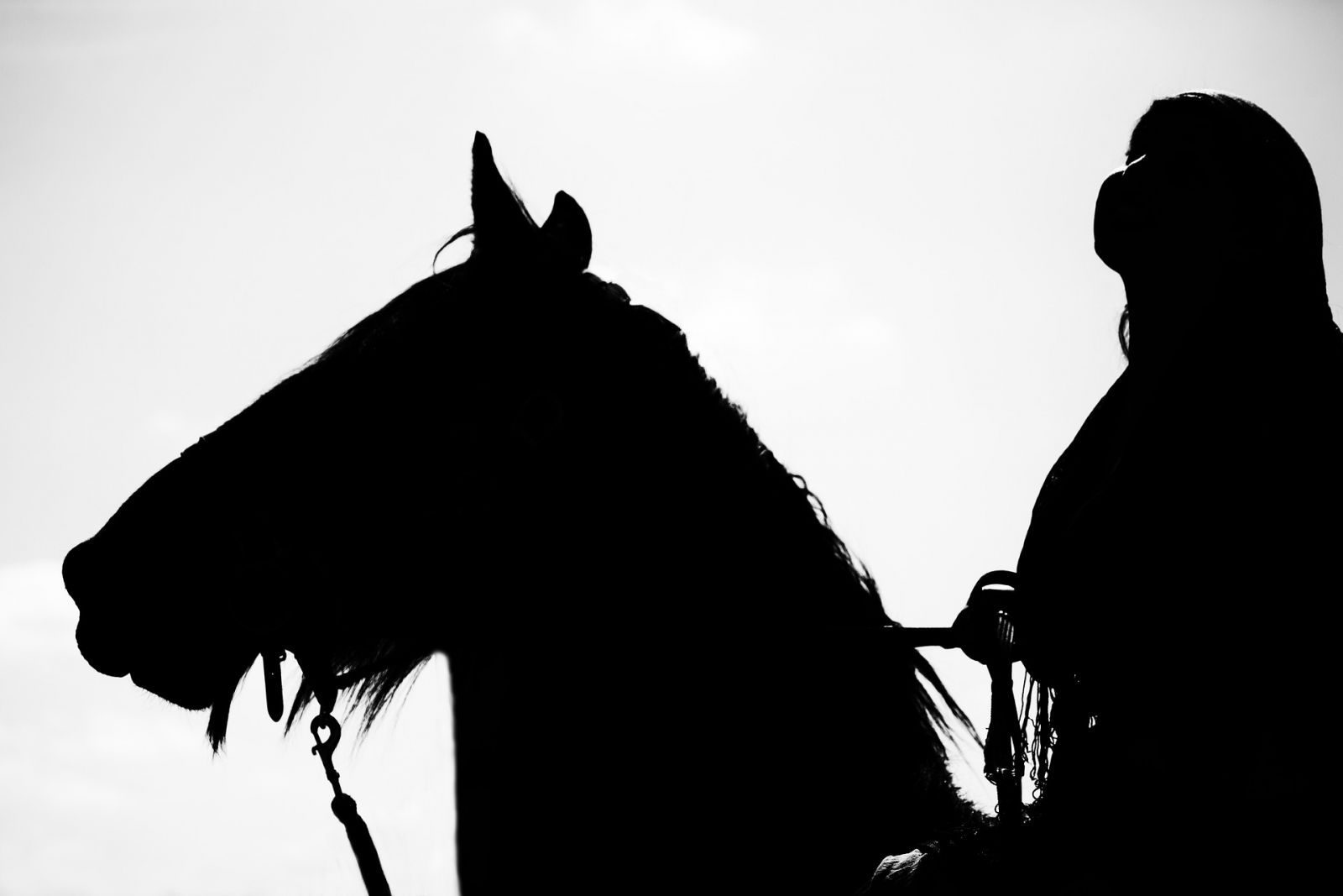 Cavalos nos festejos Farroupilhas necessitam preservação do bem estar