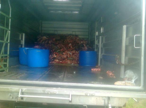 Operação apreende 600 quilos de carne em açougue clandestino em Osório, no Litoral Norte