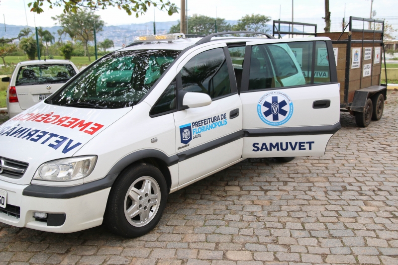 Vereadores aprovam projeto que cria Samu veterinário em Porto Alegre