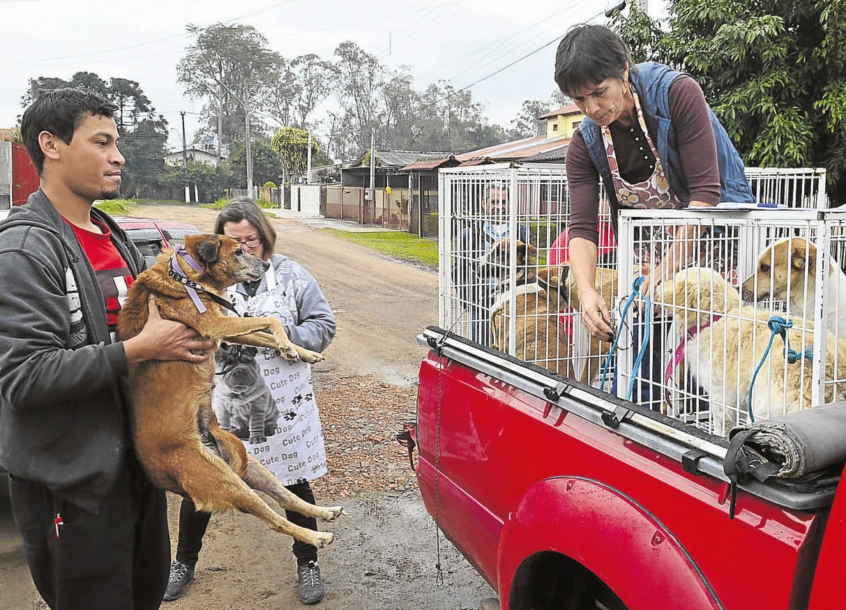 Prefeitura de cachoeirinha cria SamuVet